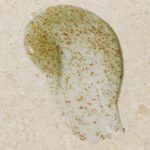 Concentrado de Juventud Drops of Youth™