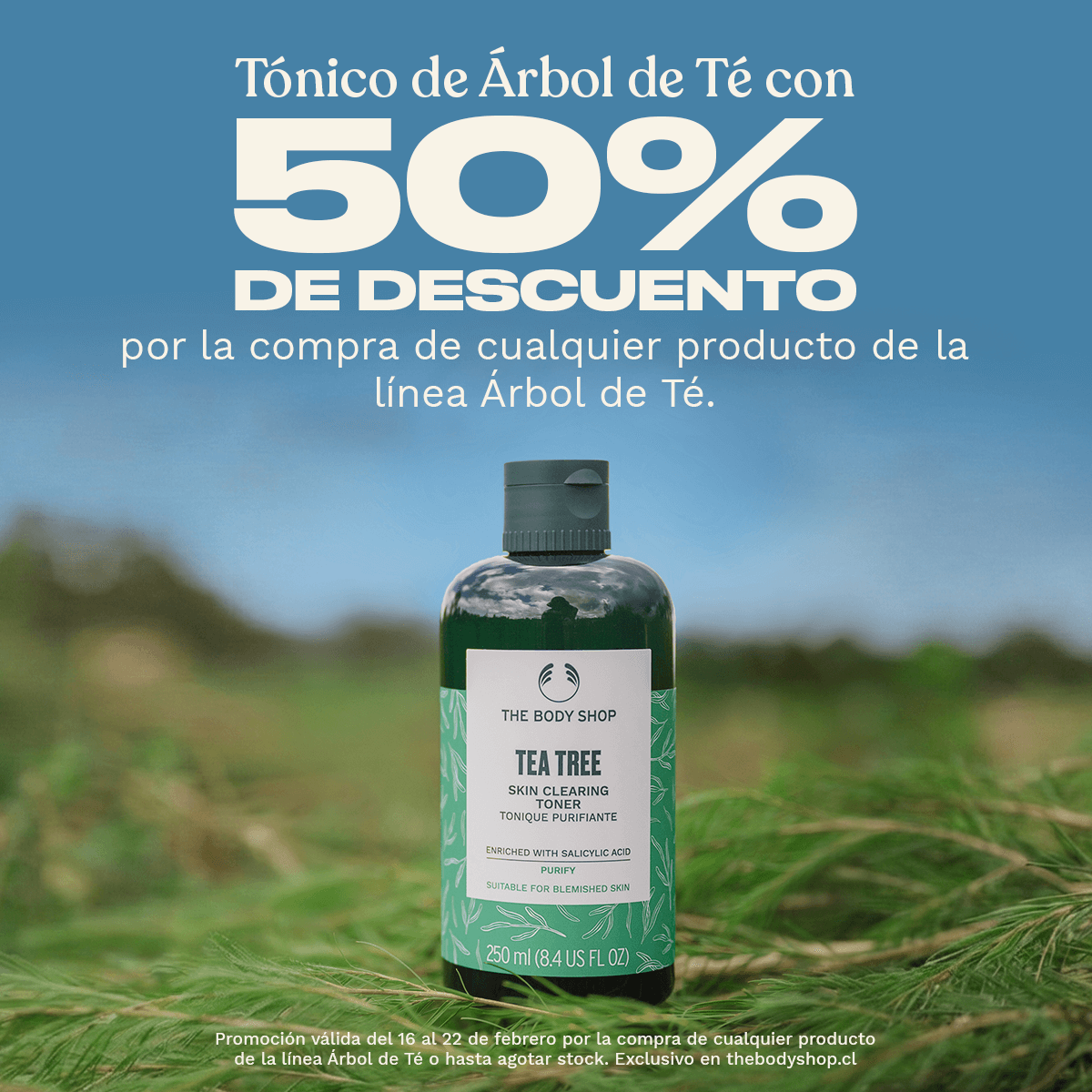 ¿Con cuál te quedas?